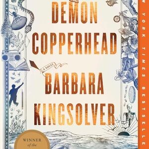 Demon Copperhead used paperback book by Barbara Kingsolver